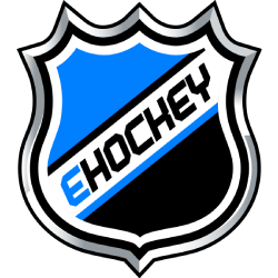 eHockey - Electronic Hockey League